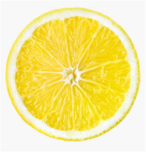 Lemon Drawing Clip Art - Draw A Lemon Slice, HD Png Download - kindpng