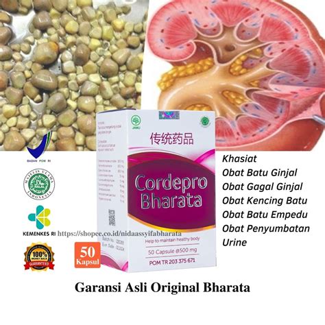 Jual Obat Batu Ginjal I Obat Batu Empedu Batu Kemih I Obat Gagal