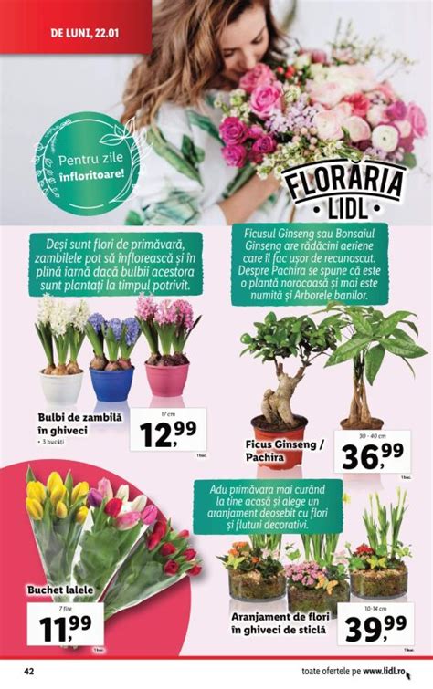 Catalog Lidl 22 Ianuarie 28 Ianuarie 2024 Oferte Revista Lidl