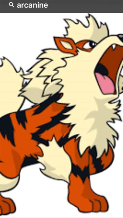 Mi Poke Favorito Es Arcanine Cual Es El Tuyo Responde Pok Mon En