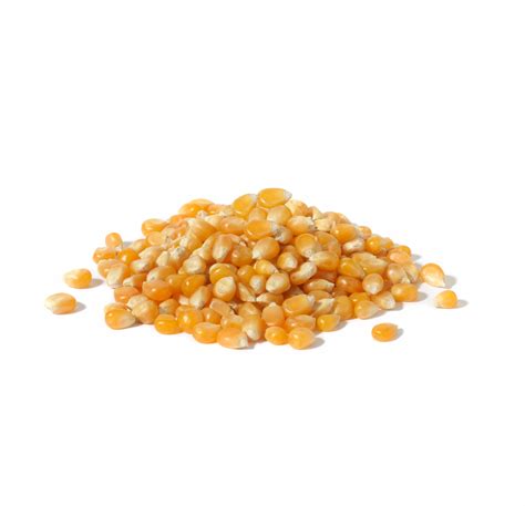 POPCORN 25 KG 25000 G ZIARNO KUKURYDZA WOREK 12344408917 Allegro Pl