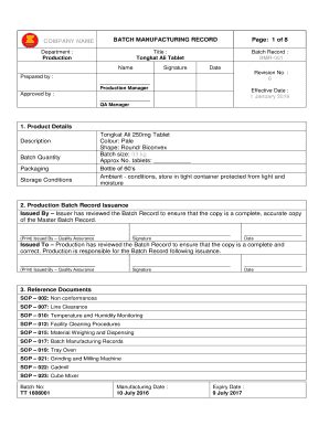 Batch Record Template - Fill Online, Printable, Fillable, Blank | pdfFiller