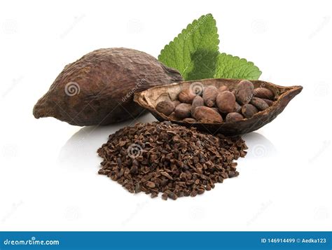 Cosses De Cacao Et Graines De Cacao Et Poudre De Cacao Avec Des