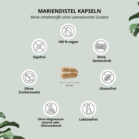 Nutri Mariendistel Kapseln Mit Artischocke L Wenzahn St Shop