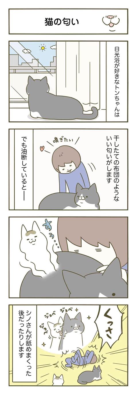 油断は禁物！ 干したてのお布団の匂いを求めていたのに／うちの猫がまた変なことしてる。3（6） レタスクラブ