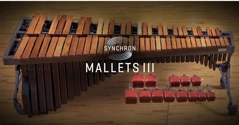 Vienna Symphonic Library Synchron Mallets Iii Upgrade Vslsyy E