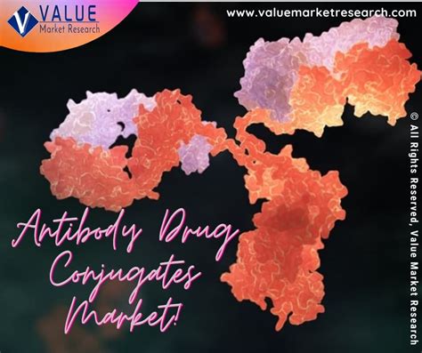 Antibody Drug Conjugates Market Share Forecast Report To