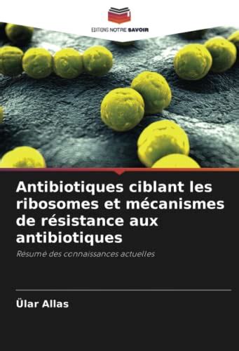 Antibiotiques Ciblant Les Ribosomes Et M Canismes De R Sistance Aux