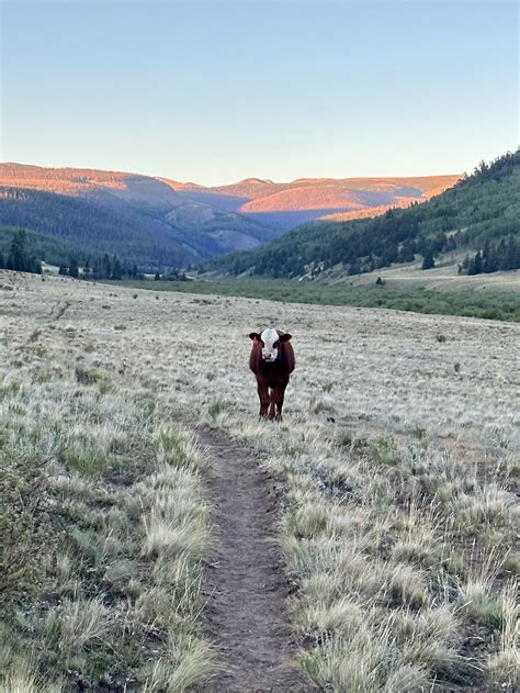 The Peaks of my Colorado Trail Trek - The Trek