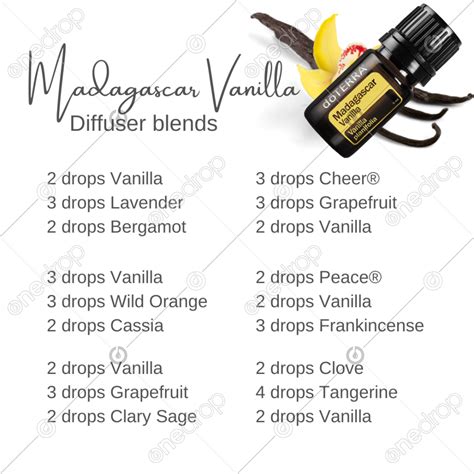 13 Vanilla Diffuser Blends Artofit