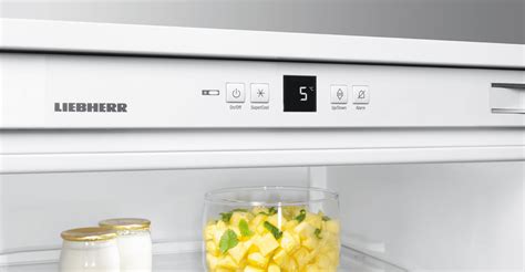 What Temperature Should A Fridge Be Freshmag