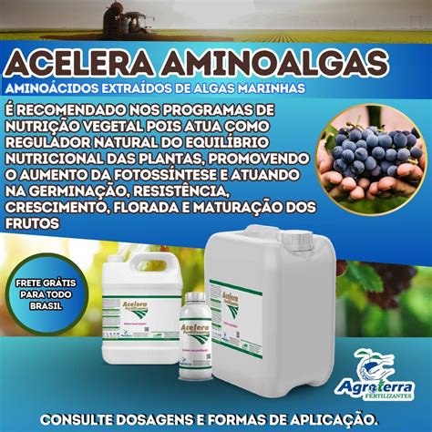 Gr O Forte Fertilizantes Acelera Aminoalgas