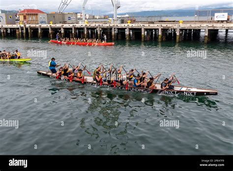 Dragon Boat Teams Training In Whairepo Lagoon For A Forthcoming