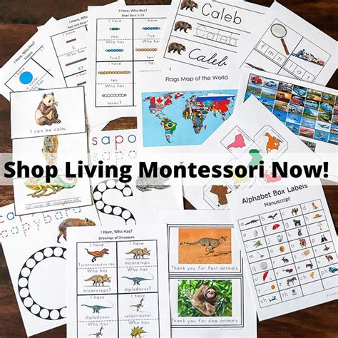 Alisons Montessori Review Living Montessori Now