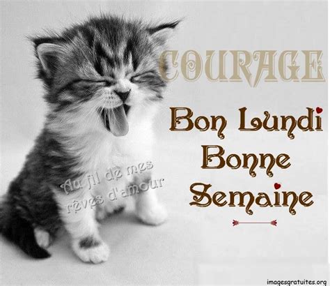 Humoristique Bon Lundi Et Bonne Semaine Humour Lundi