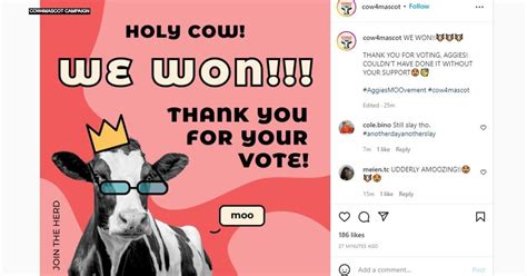 Team Cow Declares Victory In Vote To Change UC Davis Mascot - CBS ...