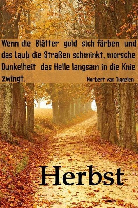 Pin Auf Spr Che Herbst Spruch Herbst Zitate Herbst