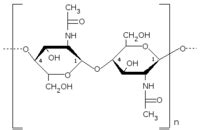 Chitin - New World Encyclopedia