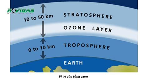 Vai Tr C A T Ng Ozon I V I Con Ng I V S S Ng Tr I T Blog Lu T