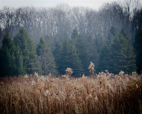 Winter Hiking At Dundas Valley Conservation Area Suburban Tourist