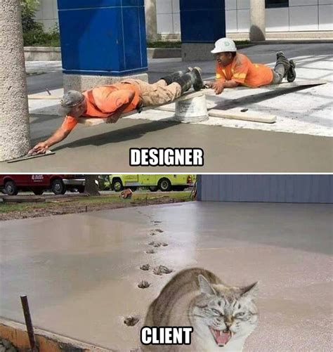 Graphic Design Cat Meme