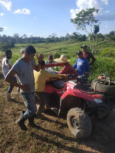 Homem morre após ser atingido na cabeça por árvore durante derrubada no