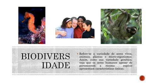 Biodiversidade Taxonomia Ppt