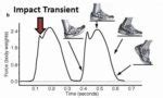 Heel Strike Running Causes Toe Injury Run Forefoot