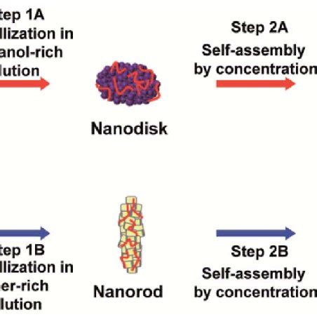 Schematic Illustration Of Biomineralization Inspired Methods For