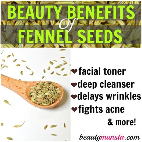 10 Beauty Benefits Of Fennel Seeds Beautymunsta