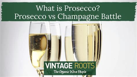 Prosecco vs Champagne Battle - Vintage Roots: Organic Wine | Biodynamic ...