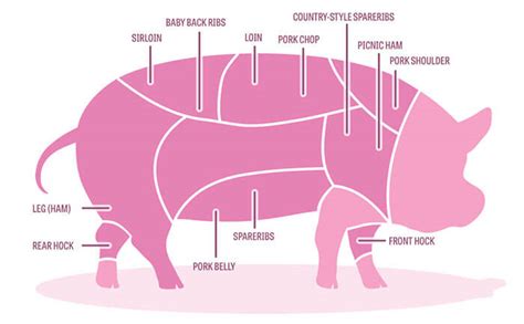 Pork Loin Vs Pork Chop Differences To Know Before Cooking