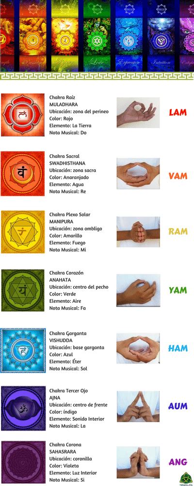 Descubre C Mo Activar Los Chakras Del Cuerpo Humano Limpieza De