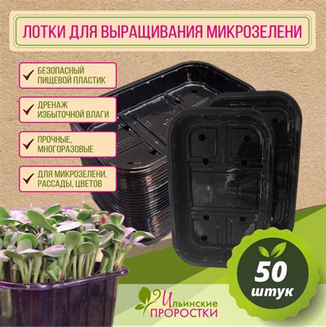 Лотки для проращивания микрозелени и беби листьев 50шт купить по низкой ...