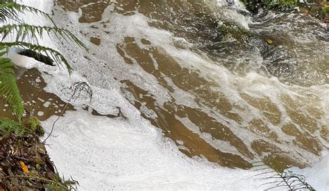 Ecologistas En Acci N Y La Plataforma Avibe Denuncian Un Nuevo Vertido