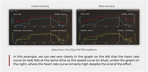 Heart Rate The Horse Athletes Health Asset