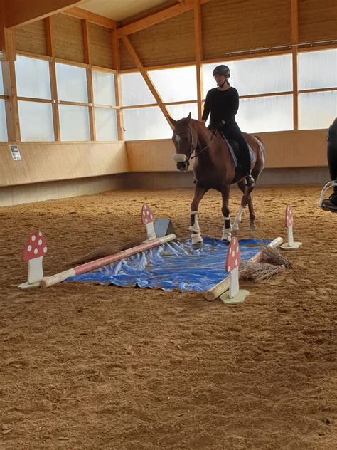 Pferdepension Und Reitanlage Sch Fer In Zimmern Unter Der Burg