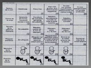 Test De Valoracion Del Recien Nacido Ppt