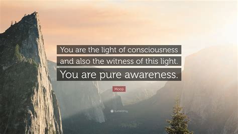 Mooji Quote You Are The Light Of Consciousness And Also The Witness