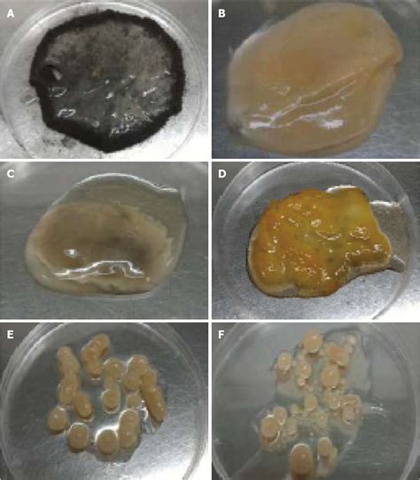 Figure From Effect Of Agitation Speed On The Morphology Of