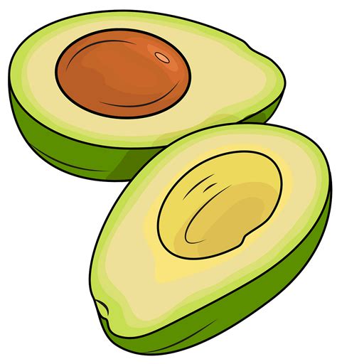 Avocado Clipart Clip Art Library