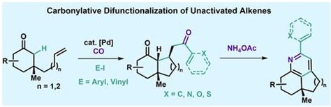 由不稳定烯醇引发的钯催化未活化烯烃的羰基双官能化angewandte Chemie International Edition X Mol