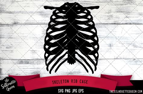 Skeleton Rib Cage Silhouette Vector By The Silhouette Queen Thehungryjpeg