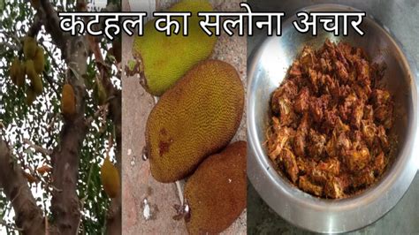 कटहल का सलोना स्वादिष्ट अचार चले सालों सालjackfruit Picklesavory Kitchen Youtube