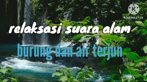 Relaksasi Suara Alam Kicau Burung Dan Suara Gemericik Air Terjun Di