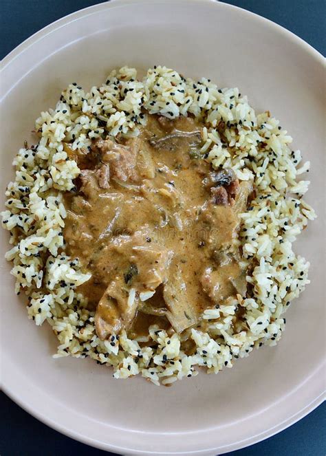 Beef Stroganoff and rice stock photo. Image of ingredient - 259943634