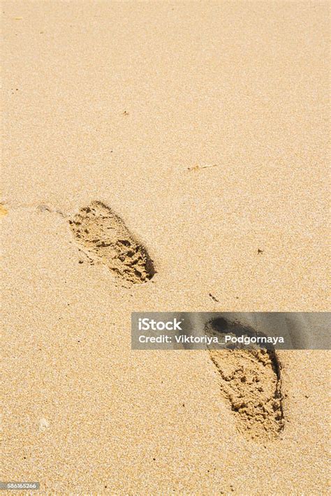 Footprints In The Sand Beach Near The Sea Stock Photo Download Image