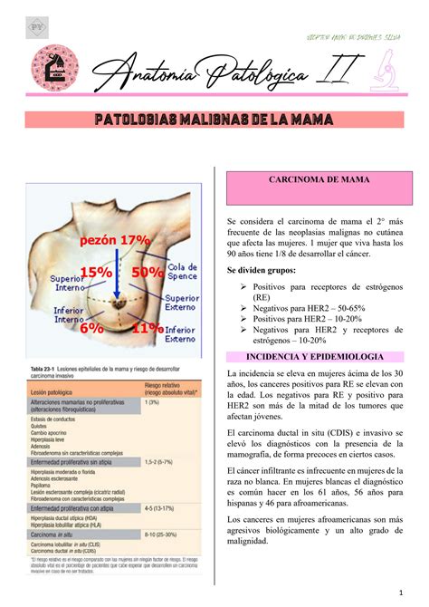 Solution Patologias Malignas De La Mama Studypool