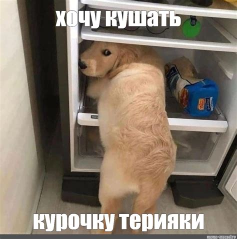 Создать мем "собачки, смешной холодильник, собака" - Картинки - Meme ...