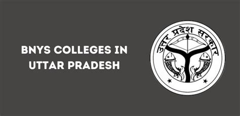 List Of BNYS Colleges In Uttar Pradesh 2024 25 Govt Private Seats